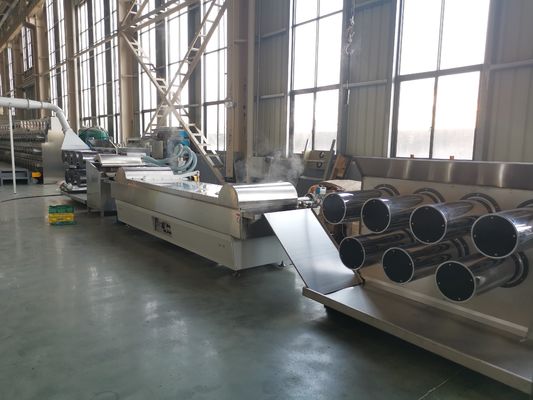 comprar decoração de nylon do jardim da máquina da extrusora de 55kw 6400 Dtex online manufacture